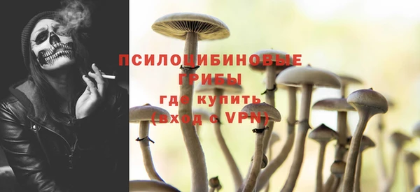 прущие крисы Баксан